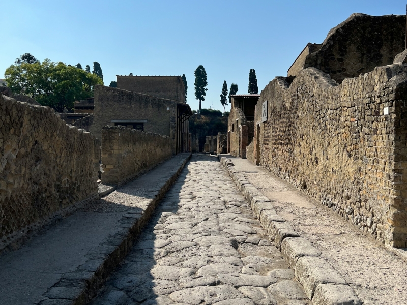 ercolano_hercolaneum_ruins_pompeiitransfercar__4_.jpg